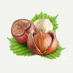 Hazelnut